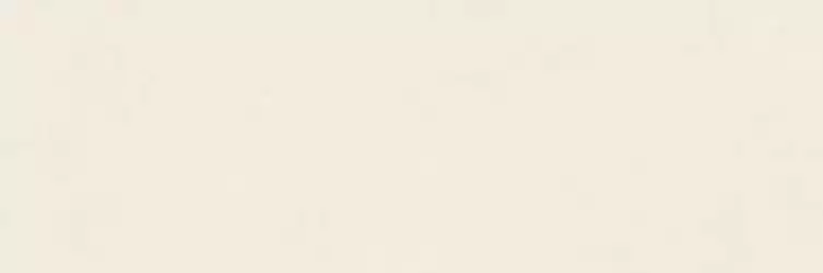 RA6C Плитка Vida Beige Rett 30x90